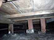 木造住宅の耐震診断（床下の写真撮影）