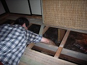 木造住宅の耐震診断（床下を写真撮影しています）