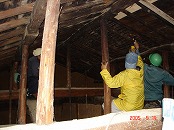 木造住宅の耐震診断（小屋組の状態を目視にて確認中）