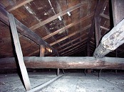 木造住宅の耐震診断（小屋組の状態を目視にて確認）